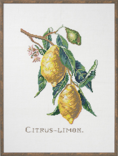 Citrus-Lemon