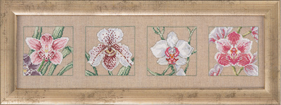 4 orkideer
